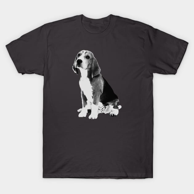 beagle T-Shirt by big_owl